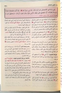 Jual Kitab Syarah Riyadhus Shalihin Utsaimin | Syarh Riyadhus Sholihin | شرح رياض الصالحين/فني شاموا Impor Original di Toko Kitab Alresalah