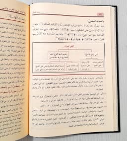 Jual Kitab Dhiyaus Salik Ila Audhohul Masalik 4 Jilid | ضياء السالك لاوضح المسالك 1/4 Impor Original di Toko Kitab Alresalah